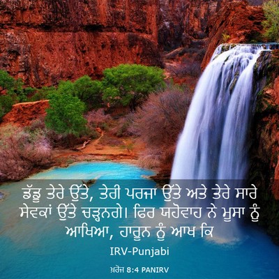 Picture 03 - ਖ਼ਰੋਜ 8:4 PANIRV - ਡੱਡੂ ਤੇਰੇ ਉੱਤੇ, - Bible Verse Picture