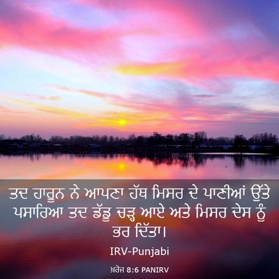 Picture 03 - ਖ਼ਰੋਜ 8:6 PANIRV - ਤਦ ਹਾਰੂਨ ਨੇ ਆਪਣਾ - Bible Verse Picture