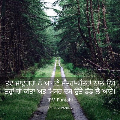 Picture 03 - ਖ਼ਰੋਜ 8:7 PANIRV - ਤਦ ਜਾਦੂਗਰਾਂ ਨੇ - Bible Verse Picture