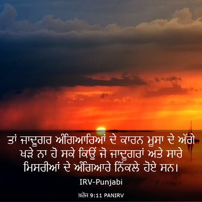 Picture 03 - ਖ਼ਰੋਜ 9:11 PANIRV - ਤਾਂ ਜਾਦੂਗਰ - Bible Verse Picture
