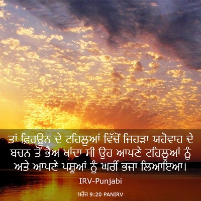 Picture 03 - ਖ਼ਰੋਜ 9:20 PANIRV - ਤਾਂ ਫ਼ਿਰਊਨ ਦੇ - Bible Verse Picture