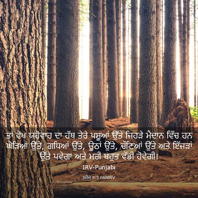 Picture 03 - ਖ਼ਰੋਜ 9:3 PANIRV - ਤਾਂ ਵੇਖ ਯਹੋਵਾਹ ਦਾ - Bible Verse Picture