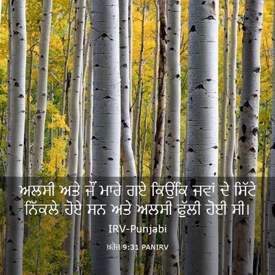 Picture 03 - ਖ਼ਰੋਜ 9:31 PANIRV - ਅਲਸੀ ਅਤੇ ਜੌਂ ਮਾਰੇ - Bible Verse Picture