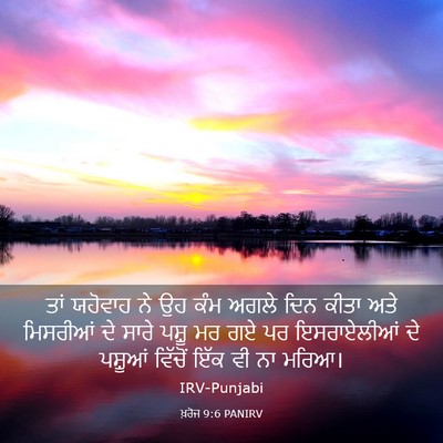 Picture 03 - ਖ਼ਰੋਜ 9:6 PANIRV - ਤਾਂ ਯਹੋਵਾਹ ਨੇ ਉਹ - Bible Verse Picture