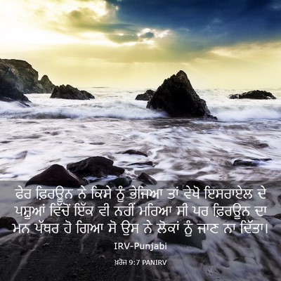 Picture 03 - ਖ਼ਰੋਜ 9:7 PANIRV - ਫੇਰ ਫ਼ਿਰਊਨ ਨੇ ਕਿਸੇ - Bible Verse Picture