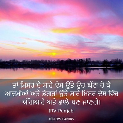 Picture 03 - ਖ਼ਰੋਜ 9:9 PANIRV - ਤਾਂ ਮਿਸਰ ਦੇ ਸਾਰੇ - Bible Verse Picture