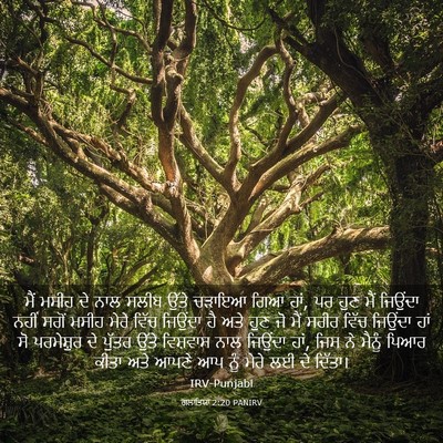 Picture 03 - ਗਲਾਤਿਯਾ 2:20 PANIRV - ਮੈਂ ਮਸੀਹ ਦੇ ਨਾਲ - Bible Verse Picture