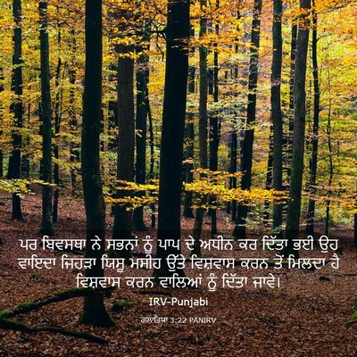 Picture 03 - ਗਲਾਤਿਯਾ 3:22 PANIRV - ਪਰ ਬਿਵਸਥਾ ਨੇ ਸਭਨਾਂ - Bible Verse Picture