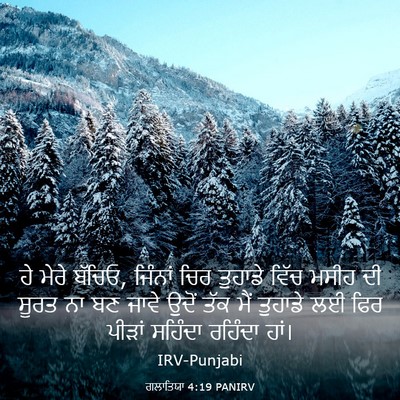 Picture 03 - ਗਲਾਤਿਯਾ 4:19 PANIRV - ਹੇ ਮੇਰੇ ਬੱਚਿਓ, - Bible Verse Picture