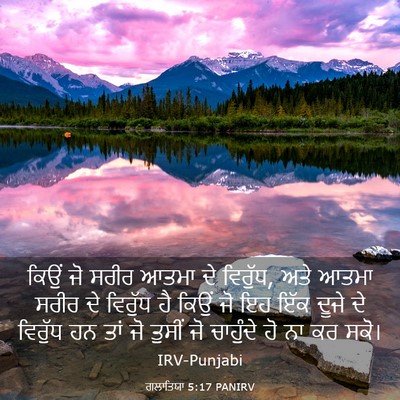 Picture 03 - ਗਲਾਤਿਯਾ 5:17 PANIRV - ਕਿਉਂ ਜੋ ਸਰੀਰ ਆਤਮਾ - Bible Verse Picture