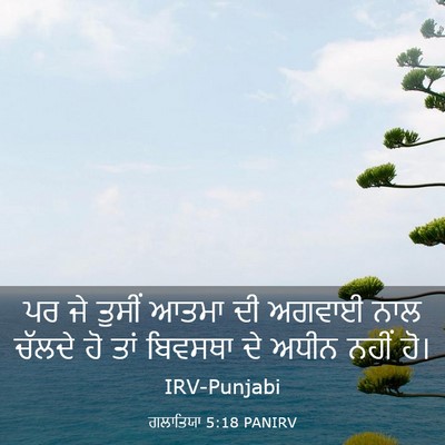 Picture 03 - ਗਲਾਤਿਯਾ 5:18 PANIRV - ਪਰ ਜੇ ਤੁਸੀਂ ਆਤਮਾ ਦੀ - Bible Verse Picture