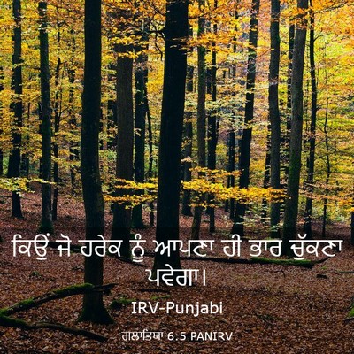 Picture 03 - ਗਲਾਤਿਯਾ 6:5 PANIRV - ਕਿਉਂ ਜੋ ਹਰੇਕ ਨੂੰ - Bible Verse Picture