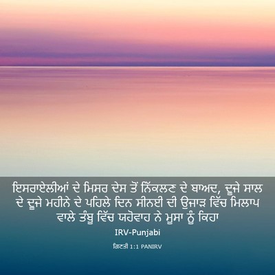 Picture 03 - ਗਿਣਤੀ 1:1 PANIRV - ਇਸਰਾਏਲੀਆਂ ਦੇ ਮਿਸਰ - Bible Verse Picture