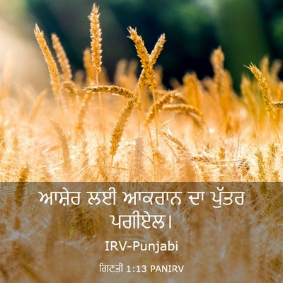 Picture 03 - ਗਿਣਤੀ 1:13 PANIRV - ਆਸ਼ੇਰ ਲਈ ਆਕਰਾਨ ਦਾ - Bible Verse Picture