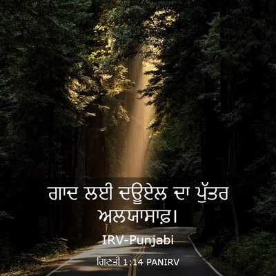 Picture 03 - ਗਿਣਤੀ 1:14 PANIRV - ਗਾਦ ਲਈ ਦਊਏਲ ਦਾ - Bible Verse Picture