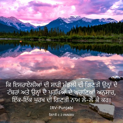 Picture 03 - ਗਿਣਤੀ 1:2 PANIRV - ਕਿ ਇਸਰਾਏਲੀਆਂ ਦੀ - Bible Verse Picture