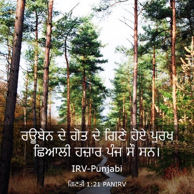 Picture 03 - ਗਿਣਤੀ 1:21 PANIRV - ਰਊਬੇਨ ਦੇ ਗੋਤ ਦੇ - Bible Verse Picture
