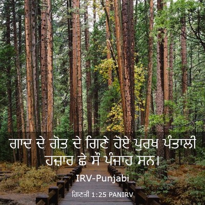 Picture 03 - ਗਿਣਤੀ 1:25 PANIRV - ਗਾਦ ਦੇ ਗੋਤ ਦੇ ਗਿਣੇ - Bible Verse Picture