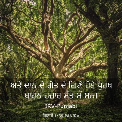 Picture 03 - ਗਿਣਤੀ 1:39 PANIRV - ਅਤੇ ਦਾਨ ਦੇ ਗੋਤ ਦੇ - Bible Verse Picture