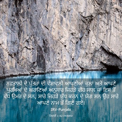 Picture 03 - ਗਿਣਤੀ 1:42 PANIRV - ਨਫ਼ਤਾਲੀ ਦੇ - Bible Verse Picture