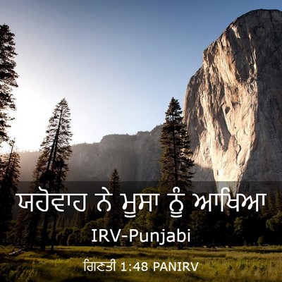 Picture 03 - ਗਿਣਤੀ 1:48 PANIRV - ਯਹੋਵਾਹ ਨੇ ਮੂਸਾ ਨੂੰ - Bible Verse Picture