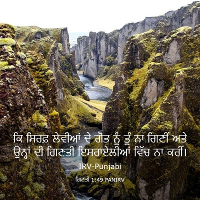Picture 03 - ਗਿਣਤੀ 1:49 PANIRV - ਕਿ ਸਿਰਫ਼ ਲੇਵੀਆਂ ਦੇ - Bible Verse Picture