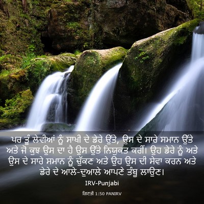 Picture 03 - ਗਿਣਤੀ 1:50 PANIRV - ਪਰ ਤੂੰ ਲੇਵੀਆਂ ਨੂੰ - Bible Verse Picture