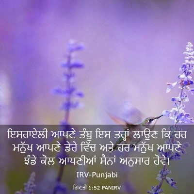 Picture 03 - ਗਿਣਤੀ 1:52 PANIRV - ਇਸਰਾਏਲੀ ਆਪਣੇ ਤੰਬੂ - Bible Verse Picture