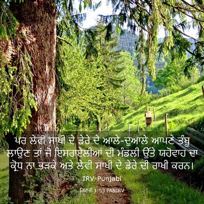 Picture 03 - ਗਿਣਤੀ 1:53 PANIRV - ਪਰ ਲੇਵੀ ਸਾਖੀ ਦੇ - Bible Verse Picture