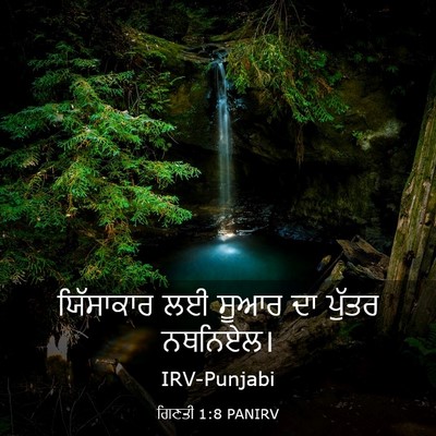 Picture 03 - ਗਿਣਤੀ 1:8 PANIRV - ਯਿੱਸਾਕਾਰ ਲਈ ਸੂਆਰ - Bible Verse Picture