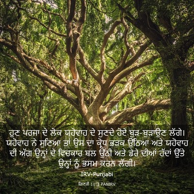 Picture 03 - ਗਿਣਤੀ 11:1 PANIRV - ਹੁਣ ਪਰਜਾ ਦੇ ਲੋਕ - Bible Verse Picture