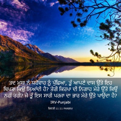 Picture 03 - ਗਿਣਤੀ 11:11 PANIRV - ਤਦ ਮੂਸਾ ਨੇ ਯਹੋਵਾਹ - Bible Verse Picture