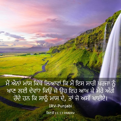 Picture 03 - ਗਿਣਤੀ 11:13 PANIRV - ਮੈਂ ਐਨਾ ਮਾਸ ਕਿੱਥੋਂ - Bible Verse Picture