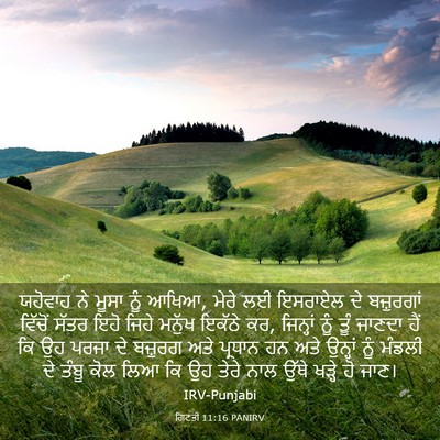 Picture 03 - ਗਿਣਤੀ 11:16 PANIRV - ਯਹੋਵਾਹ ਨੇ ਮੂਸਾ ਨੂੰ - Bible Verse Picture