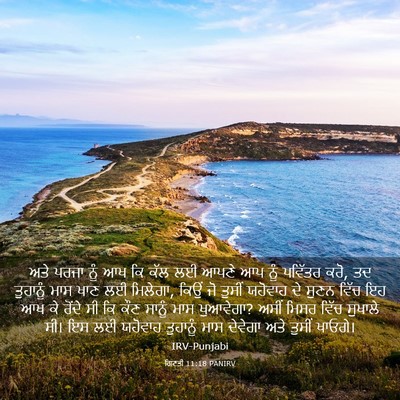 Picture 03 - ਗਿਣਤੀ 11:18 PANIRV - ਅਤੇ ਪਰਜਾ ਨੂੰ ਆਖ ਕਿ - Bible Verse Picture