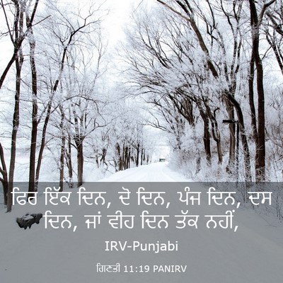 Picture 03 - ਗਿਣਤੀ 11:19 PANIRV - ਫਿਰ ਇੱਕ ਦਿਨ, ਦੋ ਦਿਨ, - Bible Verse Picture