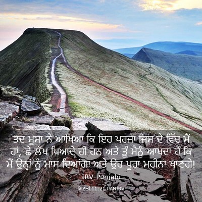 Picture 03 - ਗਿਣਤੀ 11:21 PANIRV - ਤਦ ਮੂਸਾ ਨੇ ਆਖਿਆ ਕਿ - Bible Verse Picture