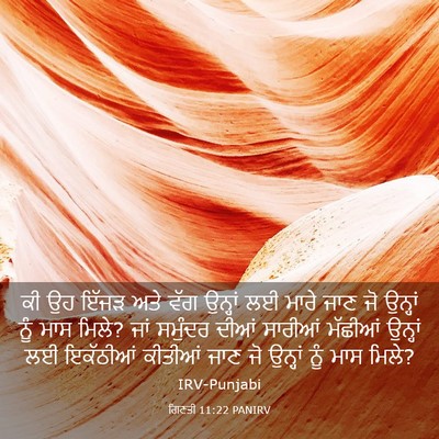 Picture 03 - ਗਿਣਤੀ 11:22 PANIRV - ਕੀ ਉਹ ਇੱਜੜ ਅਤੇ ਵੱਗ - Bible Verse Picture