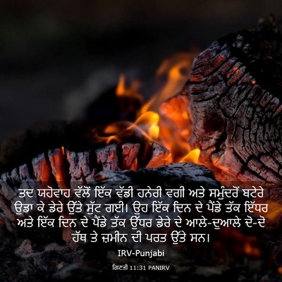 Picture 03 - ਗਿਣਤੀ 11:31 PANIRV - ਤਦ ਯਹੋਵਾਹ ਵੱਲੋਂ - Bible Verse Picture