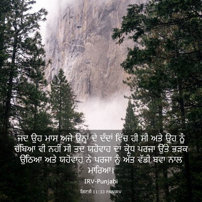 Picture 03 - ਗਿਣਤੀ 11:33 PANIRV - ਜਦ ਉਹ ਮਾਸ ਅਜੇ - Bible Verse Picture