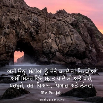 Picture 03 - ਗਿਣਤੀ 11:5 PANIRV - ਅਸੀਂ ਉਨ੍ਹਾਂ - Bible Verse Picture