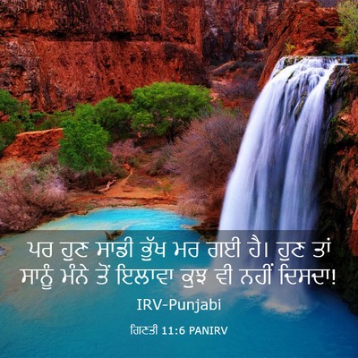 Picture 03 - ਗਿਣਤੀ 11:6 PANIRV - ਪਰ ਹੁਣ ਸਾਡੀ ਭੁੱਖ ਮਰ - Bible Verse Picture