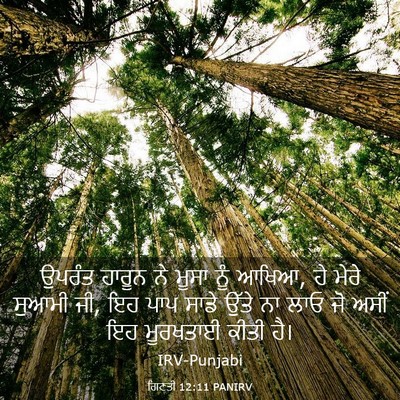 Picture 03 - ਗਿਣਤੀ 12:11 PANIRV - ਉਪਰੰਤ ਹਾਰੂਨ ਨੇ - Bible Verse Picture