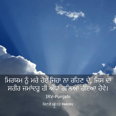Picture 03 - ਗਿਣਤੀ 12:12 PANIRV - ਮਿਰਯਮ ਨੂੰ ਮਰੇ ਹੋਏ - Bible Verse Picture