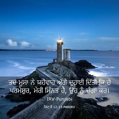 Picture 03 - ਗਿਣਤੀ 12:13 PANIRV - ਤਦ ਮੂਸਾ ਨੇ ਯਹੋਵਾਹ - Bible Verse Picture