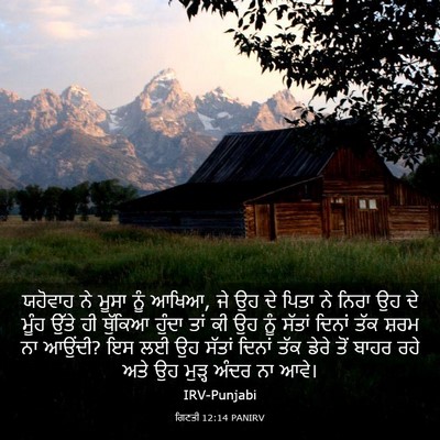 Picture 03 - ਗਿਣਤੀ 12:14 PANIRV - ਯਹੋਵਾਹ ਨੇ ਮੂਸਾ ਨੂੰ - Bible Verse Picture