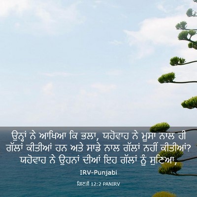 Picture 03 - ਗਿਣਤੀ 12:2 PANIRV - ਉਨ੍ਹਾਂ ਨੇ ਆਖਿਆ ਕਿ - Bible Verse Picture