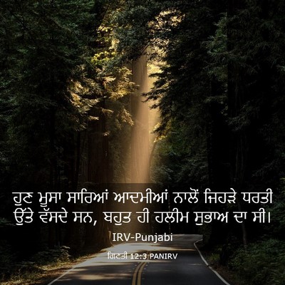 Picture 03 - ਗਿਣਤੀ 12:3 PANIRV - ਹੁਣ ਮੂਸਾ ਸਾਰਿਆਂ - Bible Verse Picture