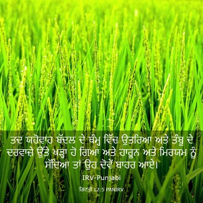 Picture 03 - ਗਿਣਤੀ 12:5 PANIRV - ਤਦ ਯਹੋਵਾਹ ਬੱਦਲ ਦੇ - Bible Verse Picture