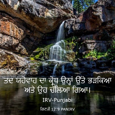 Picture 03 - ਗਿਣਤੀ 12:9 PANIRV - ਤਦ ਯਹੋਵਾਹ ਦਾ ਕ੍ਰੋਧ - Bible Verse Picture